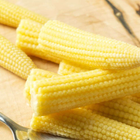 Baby Corn Seeds — High germination, Sweet seed pack | Native Indian Organics