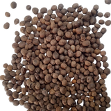Balsam Tom Thumb Mix flower seeds - Fast-growing and Colourful seeds | Native Indian Organics