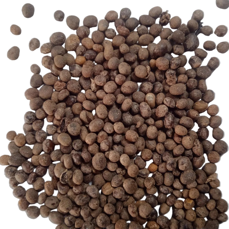 Balsam Tom Thumb Mix flower seeds - Fast-growing and Colourful seeds | Native Indian Organics