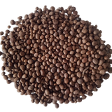 Balsam Tom Thumb Mix flower seeds - Fast-growing and Colourful seeds | Native Indian Organics