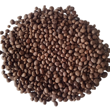 Balsam Tom Thumb Mix flower seeds - Fast-growing and Colourful seeds | Native Indian Organics