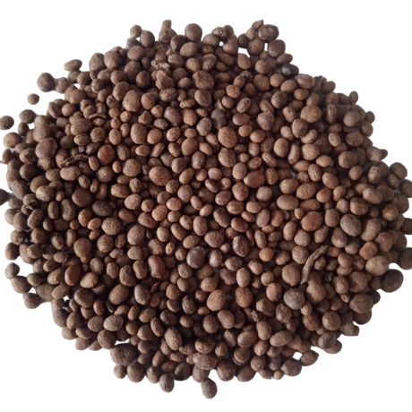 Balsam Tom Thumb Mix flower seeds - Fast-growing and Colourful seeds | Native Indian Organics