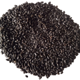 Basil seeds — Fresh and Organic seed pack | Native Indian Organics