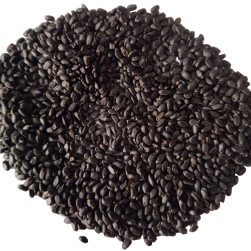 Basil seeds — Fresh and Organic seed pack | Native Indian Organics