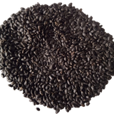 Seeds of Basil Microgreen - organic and Non- GMO seeds | Native Indian Organics