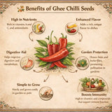 Infographic detailing the benefits of ghee chili seeds