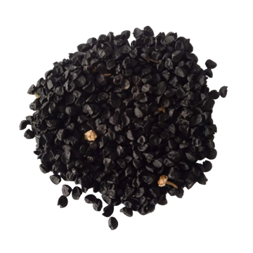 Big Onion seeds -  Organic , Native vegetable seeds | Native Indian Organics