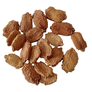 Bitter Gourd Vegetable Seeds - Fresh & Organic Native vegetable seeds | Native Indian Organics