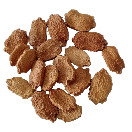 Bitter Gourd Vegetable Seeds - Fresh & Organic Native vegetable seeds | Native Indian Organics