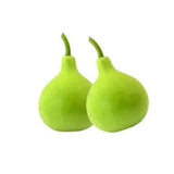 Bottle Gourd (Round) seeds — Durable, Reusable glass bottle with cork | Native Indian Organics