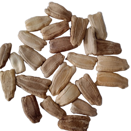 Long Bottle Gourd Seeds Native country variety Vegetable - Native Vegetable Seeds | Native Indian Organics