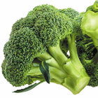 Broccoli seeds — Organic, Peat-free | Native Indian Organics