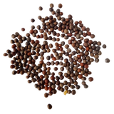 Broccoli seeds — Organic, Nutrient Rich Seeds | Native Indian Organics