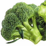 Broccoli seeds