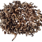 Calendula double fiesta gitana mix — Organic and High Germination Seeds | Native Indian Organics