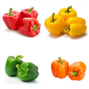 Capsicum Combo Pack of 4 pack of 4 — Aromatic, Fast-growing seed pack | Native Indian Organics