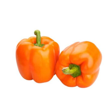 Capsicum Seeds Orange — Tender, Nutrient-dense seed pack | Native Indian Organics