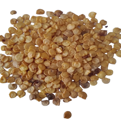 Capsicum Yellow seeds — Fresh and Organic Seeds | Native Indian Organics