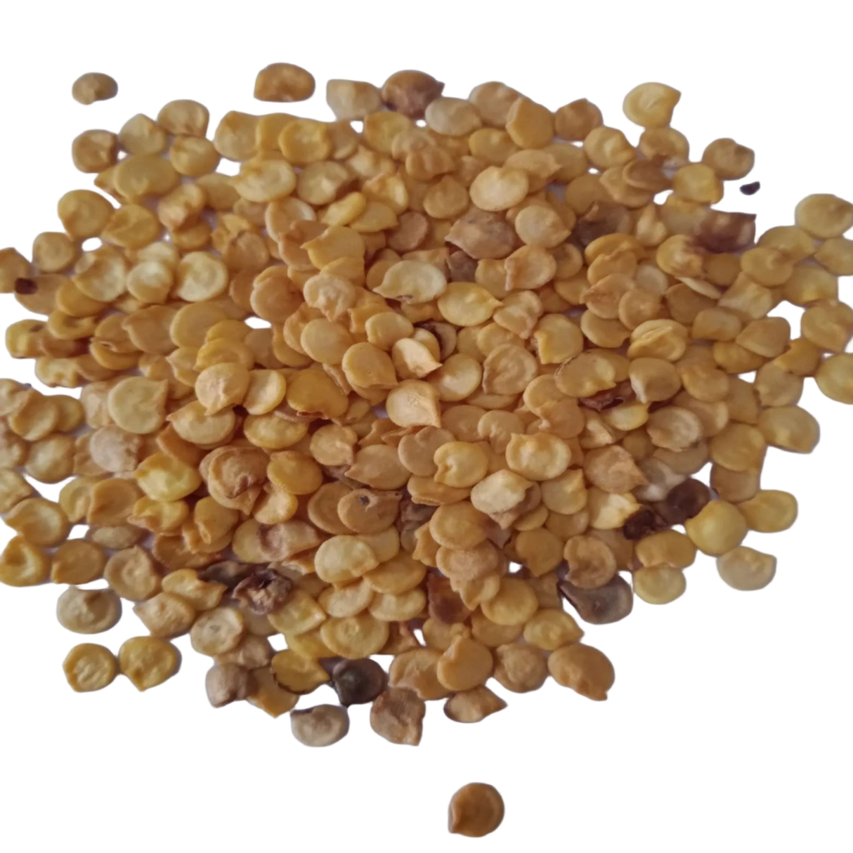 Capsicum Seeds Orange - Organic and High Germination Seeds | Native Indian Organics