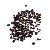 Carnation Mix Seeds — Organic and Fresh seeds | Native Indian Organics