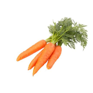 Carrot Seeds — Tender, Nutrient-dense seed pack | Native Indian Organics