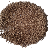 Celery seeds — Non - GMO , Heirloom Seeds | Native Indian Organics