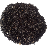 Celosia Dwarf Cockscomb Mixed — Fresh and Chemical Free Seeds | Native Indian Organics