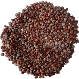 Chenopodium Album (Chakravarthini Keerai) Seeds — Fresh and Aromatic Seeds| Native Indian Organics