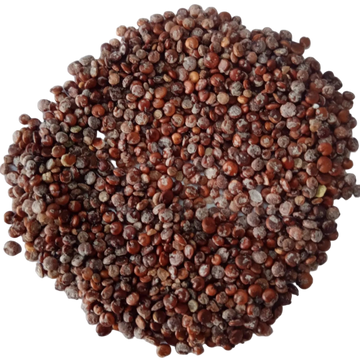 Chenopodium Album (Chakravarthini Keerai) Seeds — Fresh and Aromatic Seeds| Native Indian Organics