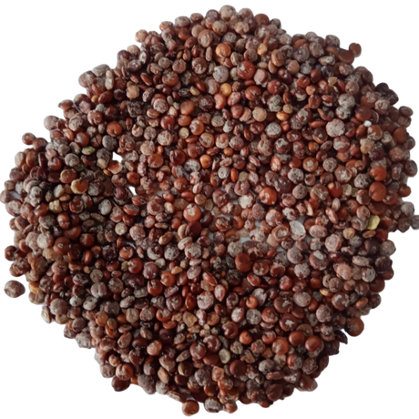 Chenopodium Album (Chakravarthini Keerai) Seeds — Fresh and Aromatic Seeds| Native Indian Organics