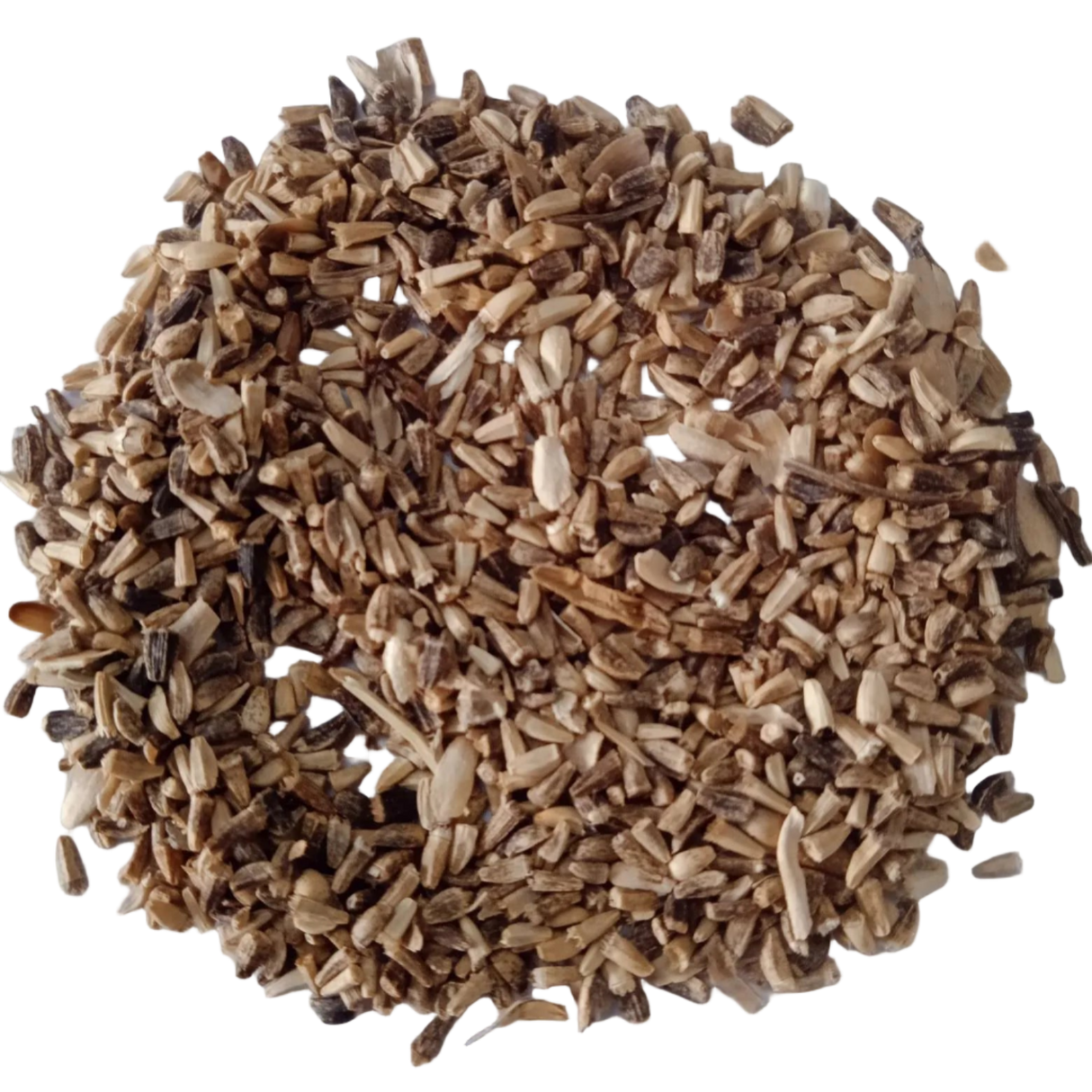 Chicory Leaves Seeds — Fresh and high quality seeds with High Germination | Native Indian Organics