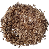 Chicory Leaves Seeds — Fresh and high quality seeds with High Germination | Native Indian Organics