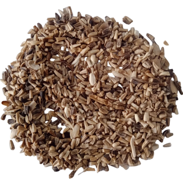 Chicory Leaves Seeds — Fresh and high quality chicory plant seeds with High Germination | Native Indian Organics