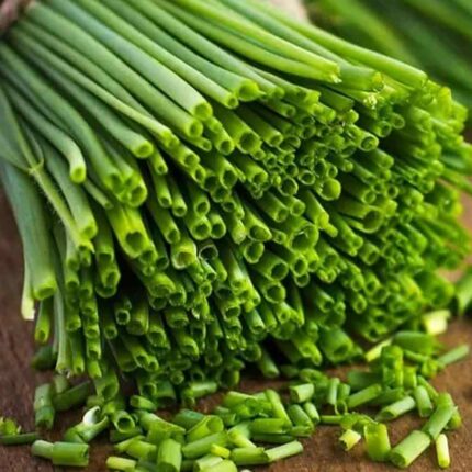 Chives Seeds — Aromatic, Fast-growing seed pack | Native Indian Organics