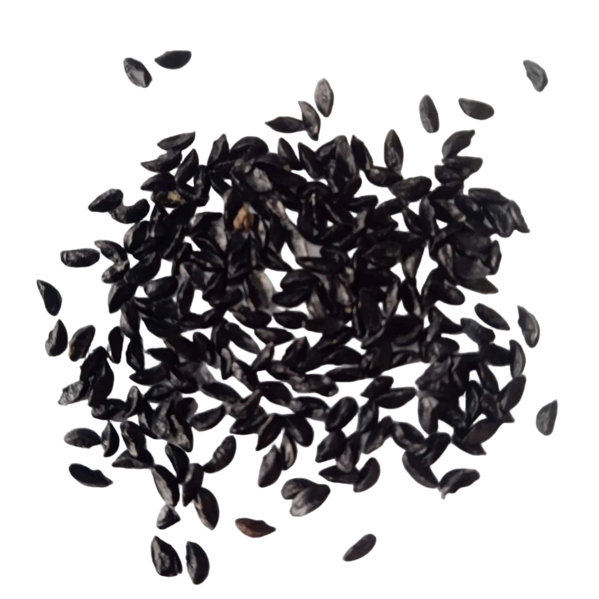 Chives Seeds — High quality Organic seed pack | Native Indian Organics