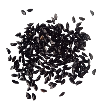 Chives Seeds — High quality Organic seed pack | Native Indian Organics