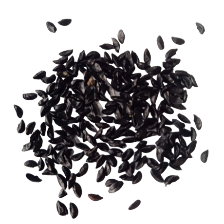 Chives Seeds — High quality Organic seed pack | Native Indian Organics