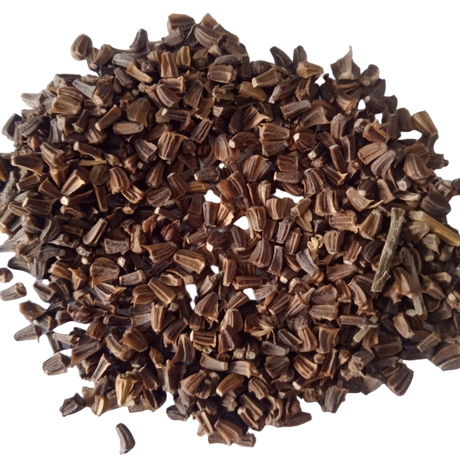 Chrysanthemum Carinatum Flower seeds Mix - Premium Quality Fresh Seeds | Native Indian Organics