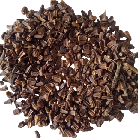 White Chrysanthemum Flower Seeds - Fresh vibrant Colourful flower Seeds | Native Indian Organics