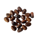 Clove beans seeds - Best Quality Seeds , Native Vegetable Seeds |  Native Indian Organics