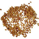 Clover Microgreen seeds 50g - Organic and Aromatic seed pack | Native Indian Organics