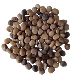 Cluster Beans Seeds - Great Germination with high quality Organic  Seeds | Native Indian Organic