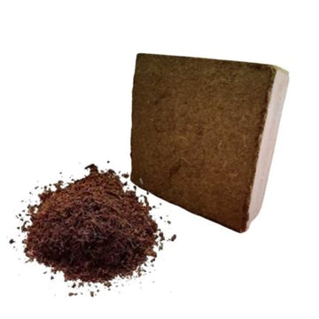 Coco peat Block 4-5KG set of 1 — Natural and Best for gardening | Native Indian Organics