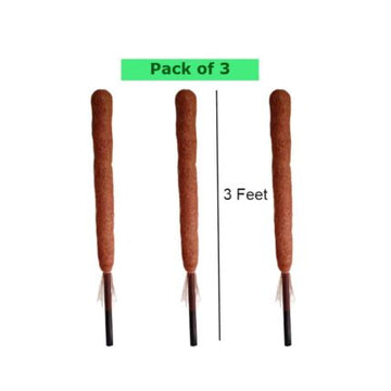 Coco stick 3 feet (Pack of 3) pack of 3 — Organic, Peat-free | Native Indian Organics