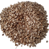Coriander Seeds Organic Native seeds -    High Germination, Non-GMO seeds  | Native Indian Organics