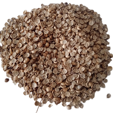 Coriander Seeds Organic Native seeds -    High Germination, Non-GMO seeds  | Native Indian Organics