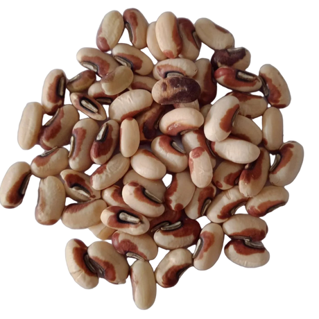 Cowpea Seeds