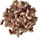 Seeds of Cow pea Fodder - High Quality and High Germinated Seeds | Native Indian Organics