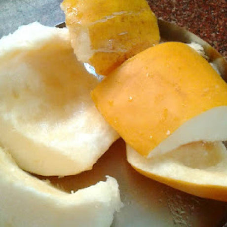 Cucumber Fruit Variety seeds