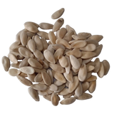 Cucumber Seeds — Organic , Aromatic seed pack | Native Indian Organics
